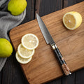 5 Inch Utility Knife JDH Damascus Kitchen Knife 67 Layers Damascus Steel with Black Resin Wood Handle MegaBDM