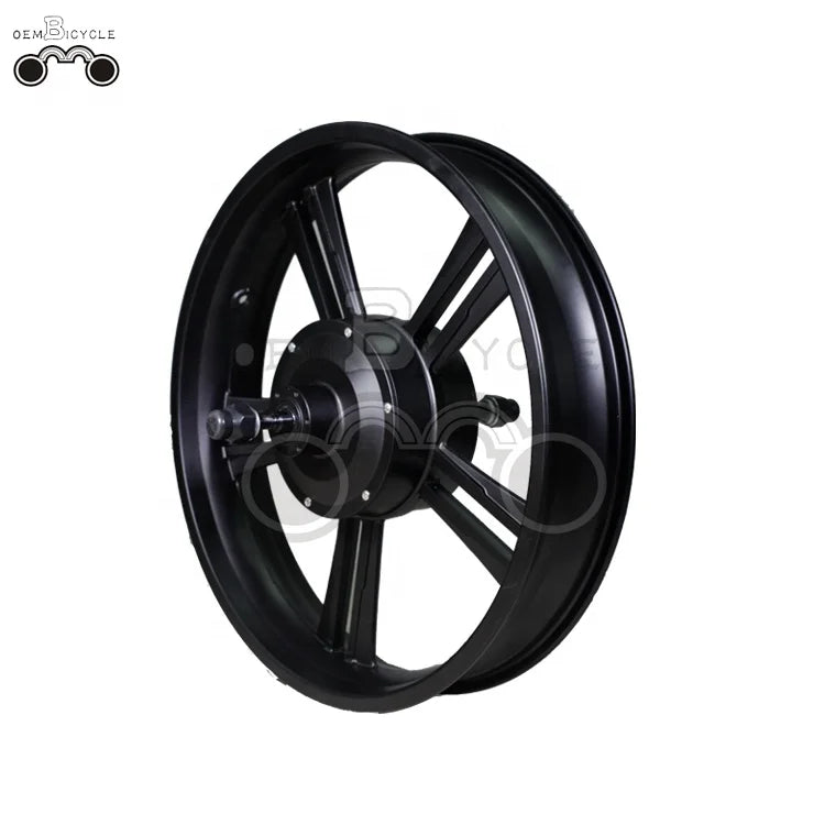 Oembicycle 48V 1000W 20inch Aluminum Wheel with Motor
