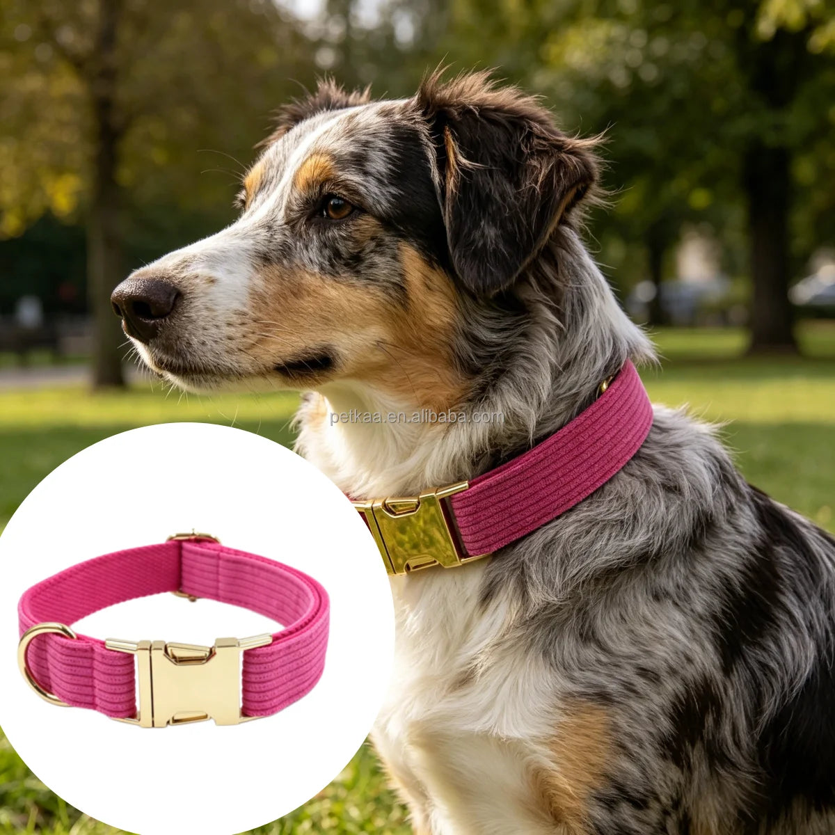 Begonia Pink Beautiful Luxury Breathable Comfortable Dog Personal Custom Corduroy Collar Customizable Logo in Stock Popular Pet MegaBDM
