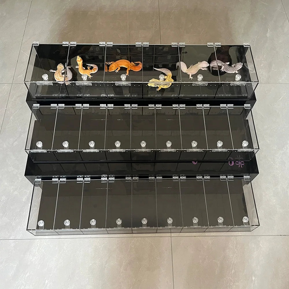High-Clarity Acrylic Snake Display Case for Reptiles & Amphibians Quality & Durable Acrylic Stand Display for Expo & Snake Shows
