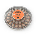 WONEGG New Design Cheap Mini 30 Chicken Quail Egg Incubator