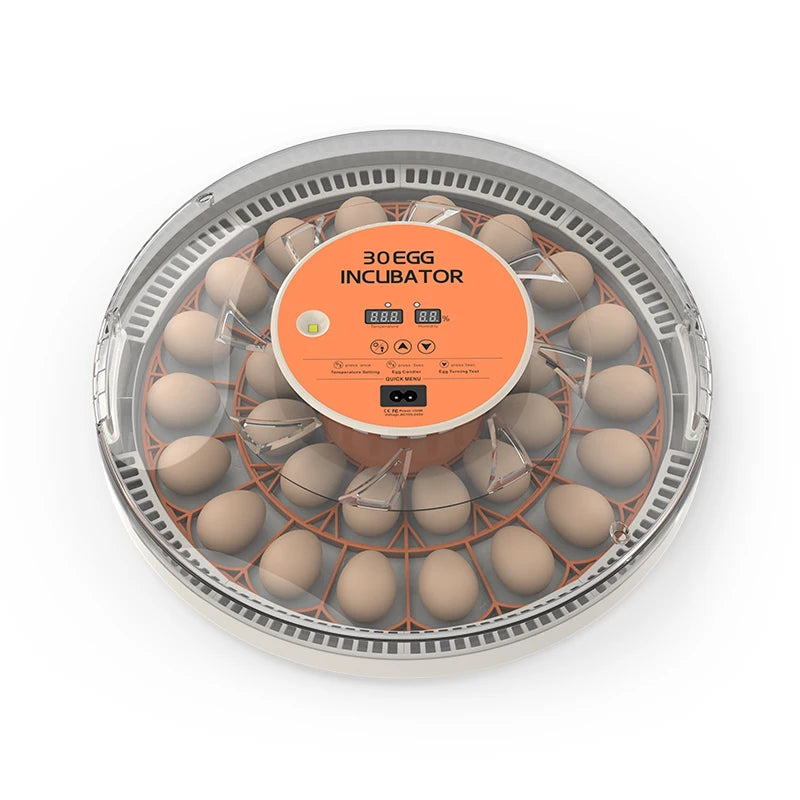 WONEGG New Design Cheap Mini 30 Chicken Quail Egg Incubator