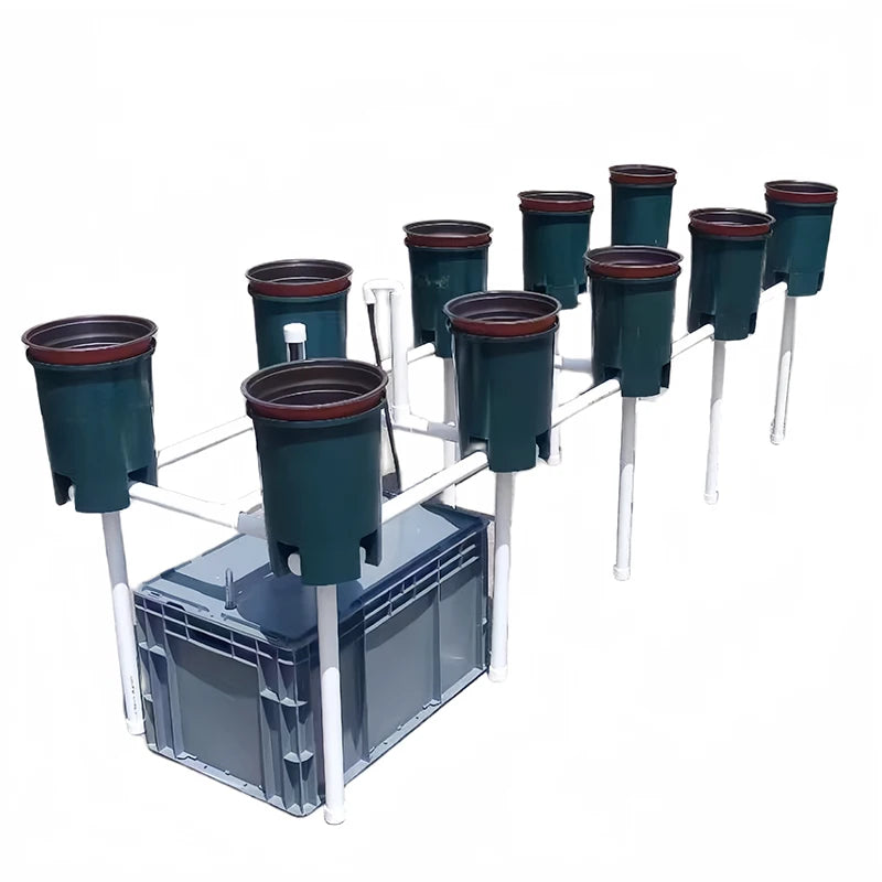 Skyplant DWC & RdWC Hydroponic System Popular in Thailand for Small Garden Greenhouse Agriculture Made From PVC