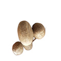 Roudoukou Spice Hotsale Myristica Fruit Whole Dried Natural Spice Semen Myristicae for Sale