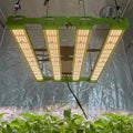 KingBrite P55 240W Samsung LM301H LM281B+ Pro LED Grow Light with 660nm UV IR Lamp Replce QB288 Board  for 2 X 2 ft 80x80cm Tent
