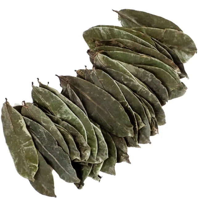 1000g Hotsale Popular Trend Soursop Leaf Tea Soursop Leaves Dried for Sale