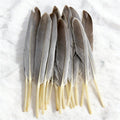 Real Colorful Quill Dyed Goose  Feather for Craft DIY Headdress Hat Costume Cosplay Accessory Party Wedding Floral Decor