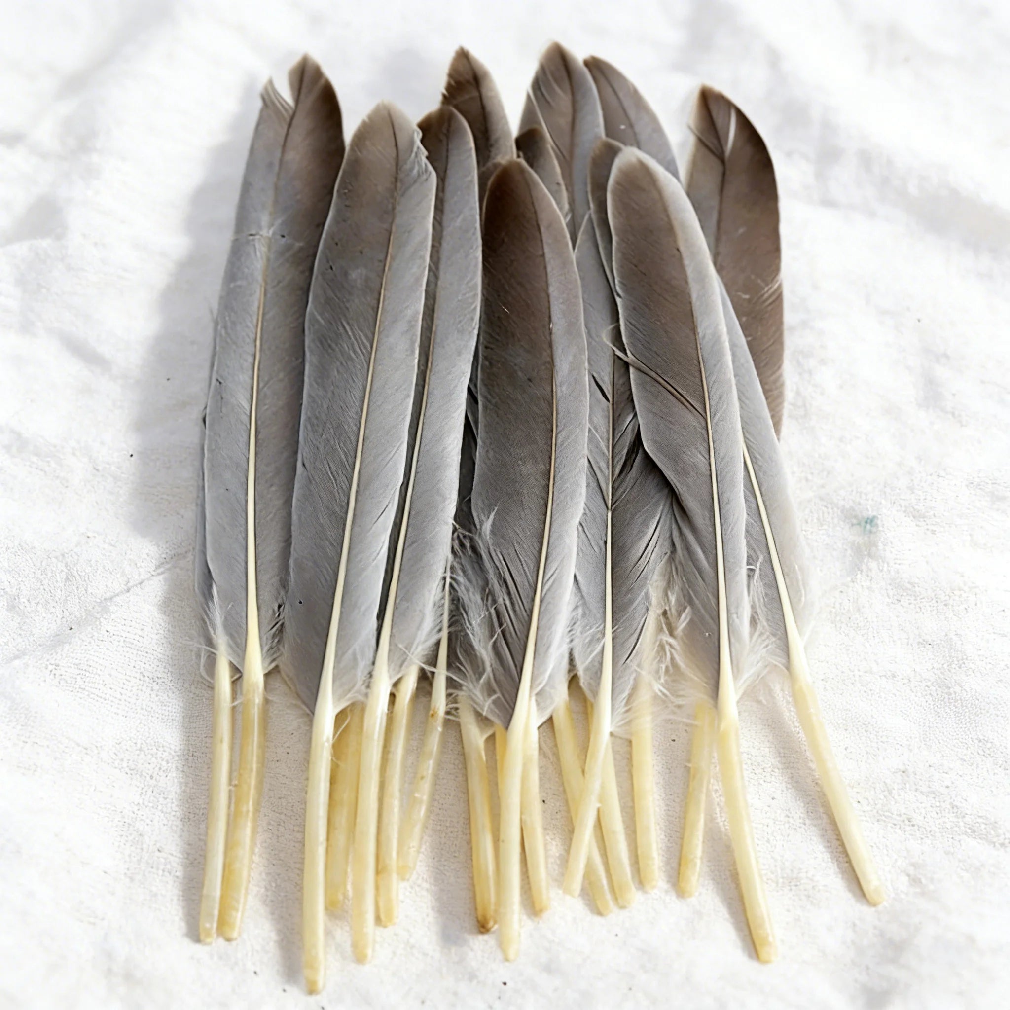 Real Colorful Quill Dyed Goose  Feather for Craft DIY Headdress Hat Costume Cosplay Accessory Party Wedding Floral Decor