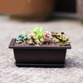 17*17*8cm Pot and Saucer Set square Flower Pot Plastic Garden Flowerpot Succulent Flower Pot