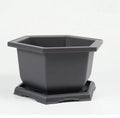 Chinese Factory Directly Wholesale Durable Plastic Hexagon Bonsai Tree Pot