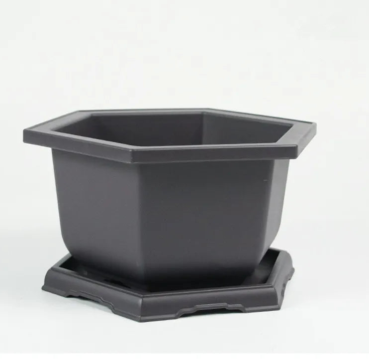 Chinese Factory Directly Wholesale Durable Plastic Hexagon Bonsai Tree Pot