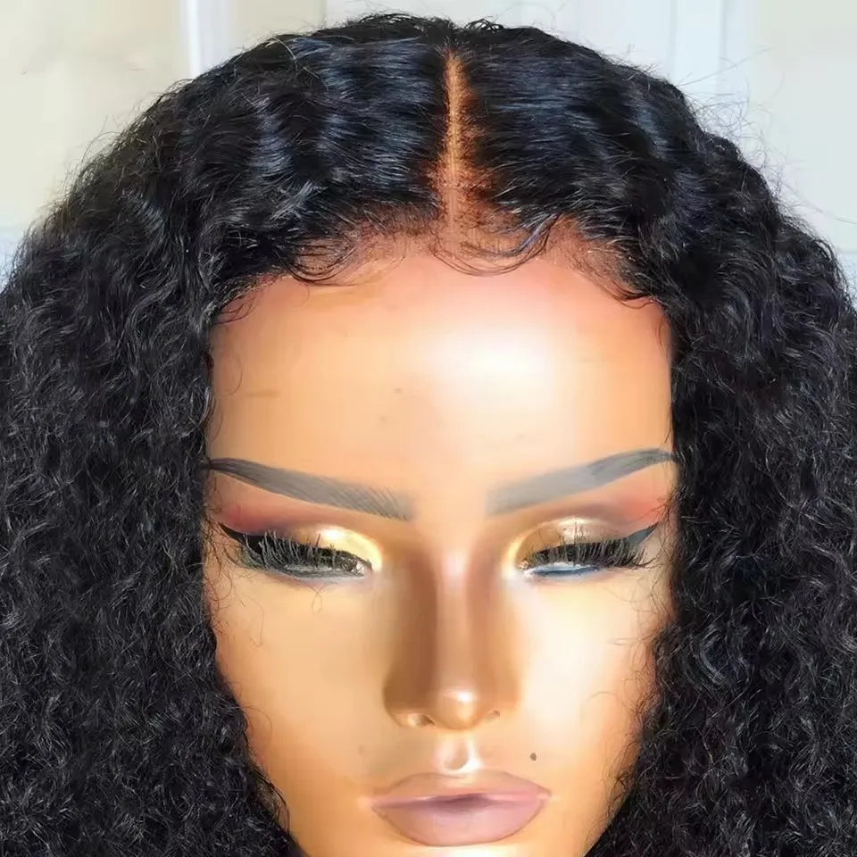 Jerry Curly Lace Front Wigs Virgin Brazilian Human Hair Wholesale Price Transparent HD Lace Frontal Wig