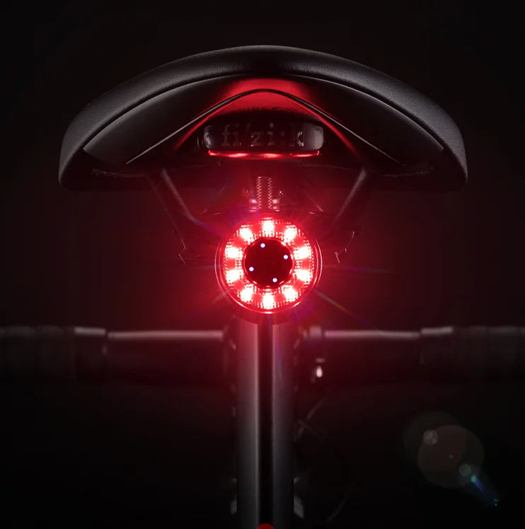 ROCKBROS Cycle Taillight Colorful USB Charging Safety Warning Cycling Light Bicycle Tail Light Bike Rear Light