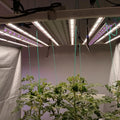 US Canada Stock  Full Spectrum UV IR Movable LED Bar 180W Compatible with All Kinds of LED Grow Lights