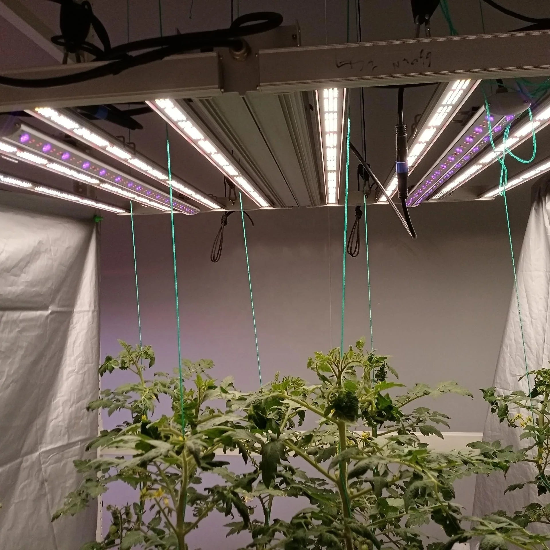 US Canada Stock  Full Spectrum UV IR Movable LED Bar 180W Compatible with All Kinds of LED Grow Lights