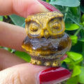 Wholesale Natural High Quality Crystal tiger Eye Crafts Hand Carved tiger Eye Owl Turtle Animals Carvings for Decoration