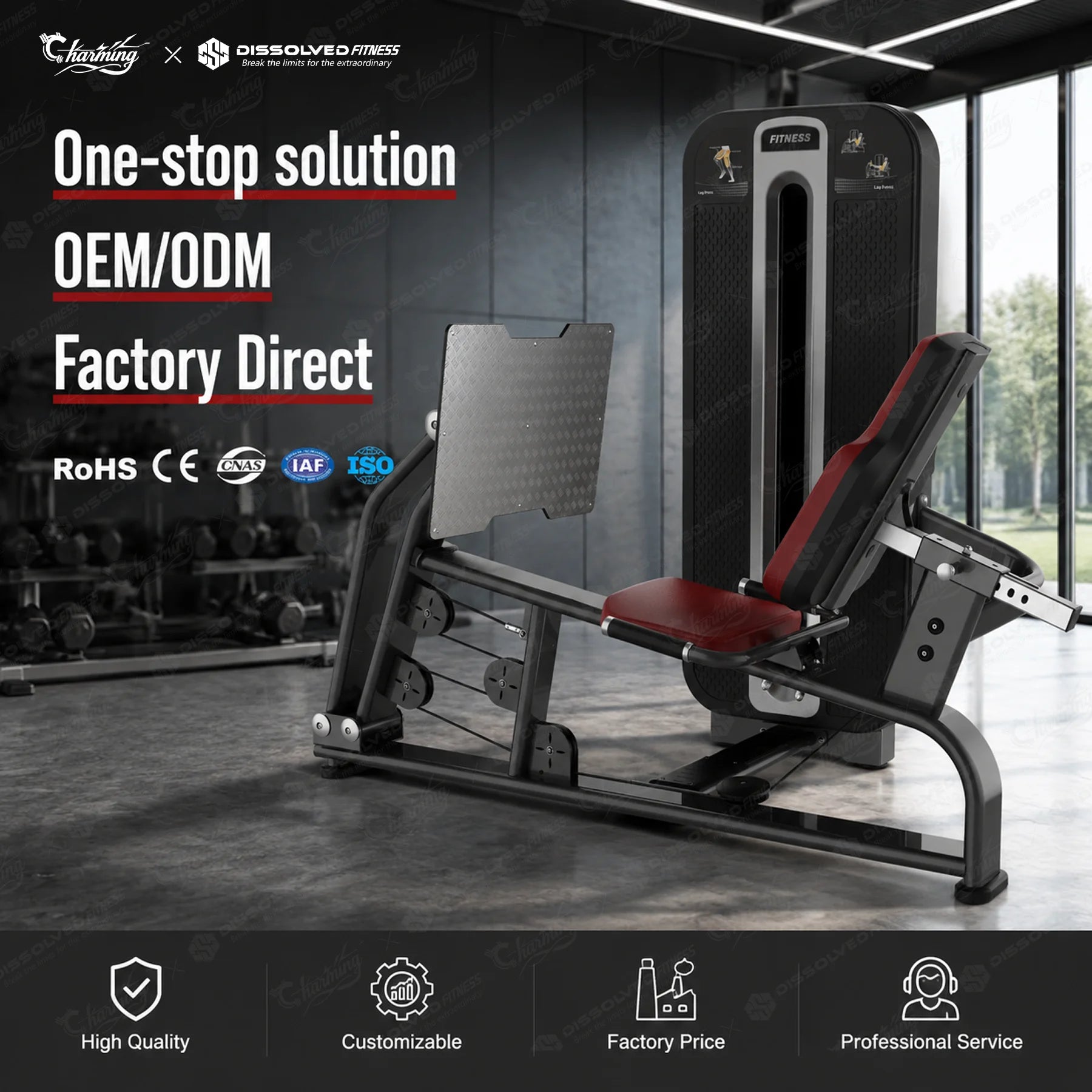 Best Selling Popular Gym Equipment Free Logo Hip Thrust Glute Machine for Strength Training Fitness Equipment for Chest Arms