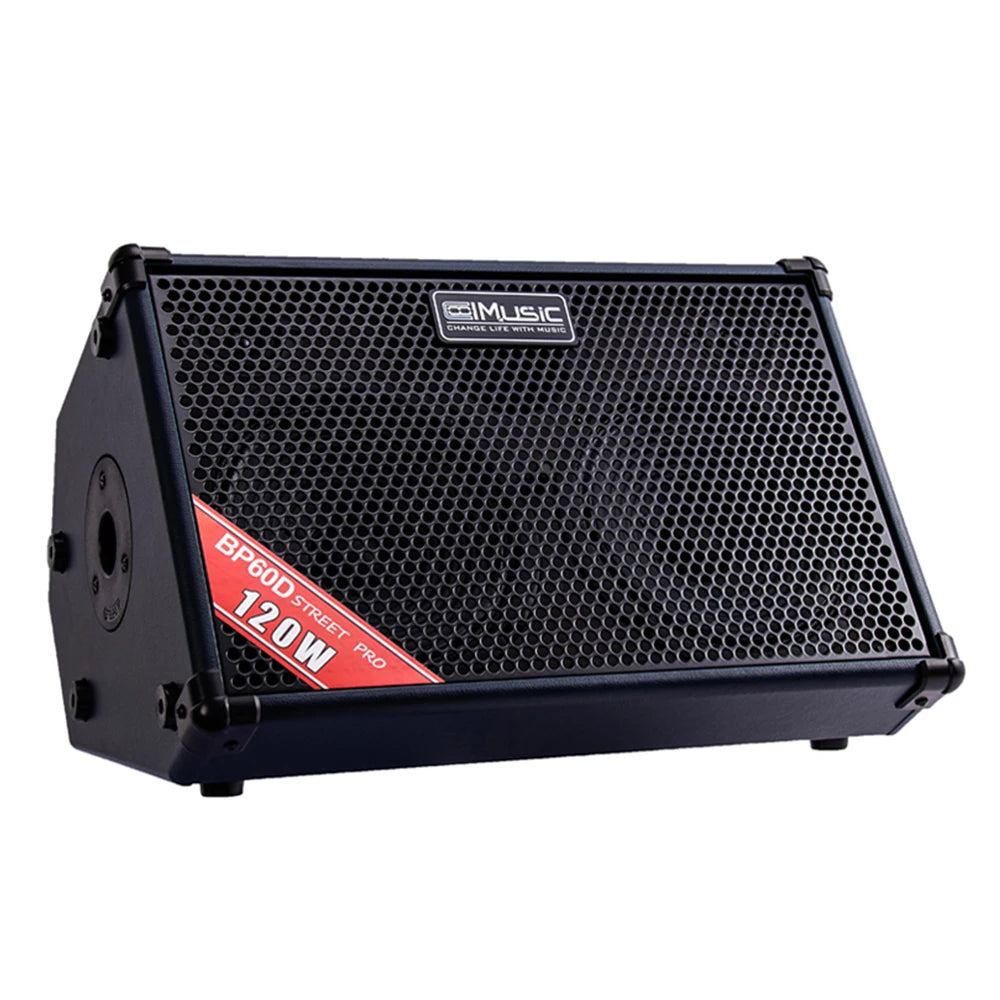 120-Watt Stringed Instruments Parts Violin Sound Equipment Acoustic Guitar Amplifier
