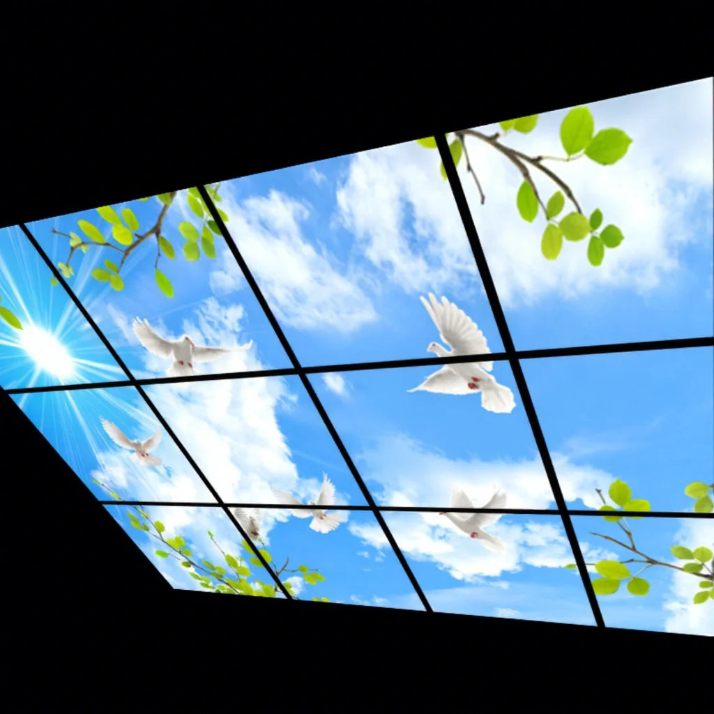 Factory Direct Supply Modern Design Embedded LED Light 600X600 SKY Panel 60x60cm 2X2ft 2X4ft Flat Panel Lighting