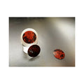 Excellent Quality Natural Color Watch Accessories 30*0.45mm Stone Dial
