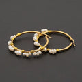 Go2boho Summer New Freshwater Pearl Fashion Jewelry Wholesale Gifts Delicate Surfer Beach Hoop Earrings for Women