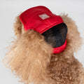 Adjustable Polyester Sunbonnet Dog Hat Waterproof and Sun Protection for Pet for Summer and Spring