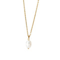 SP Hot Selling Charm Necklace Stainless Steel Made Freshwater Pearl Pendant Necklace for Ladies