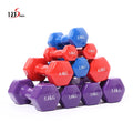 Fitness Sports Equipment Gym Training 2kgx2 Women Colorful Hex Rubber Dumbbell Coated Iron Coated Dumbbell Set