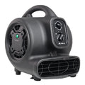 XPOWER Freshen Aire P-250NT Scented Air Mover with Ionizer