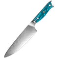 Touchable 67-Layer VG10 Japanese Damascus Steel Chef Knife with Resin Metal Handle Feather Pattern Kitchen Knife