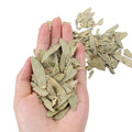 Slimming New Arrival Factory Supply Slimming Detox Herbal Natural Dried Senna Leaves Lose Weight Extract Tea