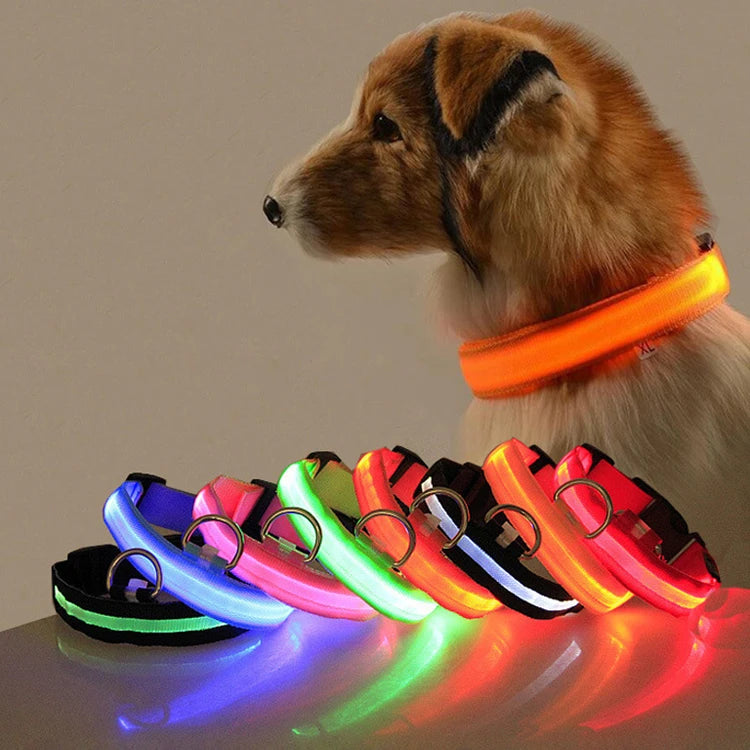 Nylon LED Pet Dog Collar Night Safety Flashing Glow in the Dark Dog Leash Dogs Luminous Fluorescent Collars Pet Supplies