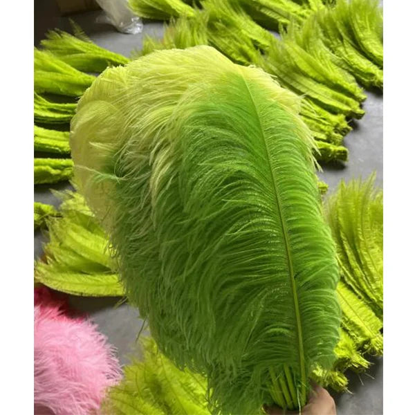 Green Natural Plume Ostrich Feathers for Party Carnival Home Wedding Centerpiece Christmas Vase Holiday Decor DIY Craft Floral