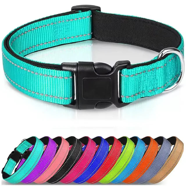 Pet Supplier Factory Neoprene Padded Reflective Nylon Pet Dog Collar with Metal D-ring