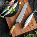 Handmade Japanese Chef Knife Kiritsuke  67 Layers Damascus Steel Acid-pickling Rose Pattern with Fluorescent Handle