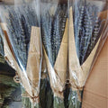 S02147 Hot Sale Decor Natural Dry Lavender Bundles Preserved Flower Bouquet Dried Lavender for Home Decor Photo Props