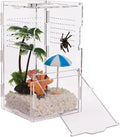 8x4x4in Vertical Acrylic Tarantula Enclosure Jumping Spider Insect Terrarium for Small Tree Dwelling Reptiles Storage Boxes Bins