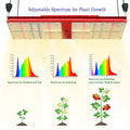 California Latest Generation Bava Green Red Color Full Cycle Uv Ir Lm301h 2.6umol/j 240w Led Grow Light for Horticulture