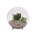 Hand Blown Clear Borosilicate Glass Orb Globe Indoor Plant Holder Terrarium With Three Stable Feet on Bottom