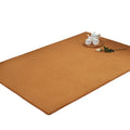 Coral Velvet Carpet MAX 200x300 for Living Room Rug Cushion Bed Room Kids Non-Slip Entrance Lounge Rug Home Floor Rugs