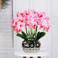 R475 Cattleya Orchid Potted Flower Artificial Real Touch Orchid Flowers Velvet for Room Decoration