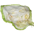 Hotsale Summer Squash Natural Dried Raw Sliced Summer Squash Fruit Cut for Food
