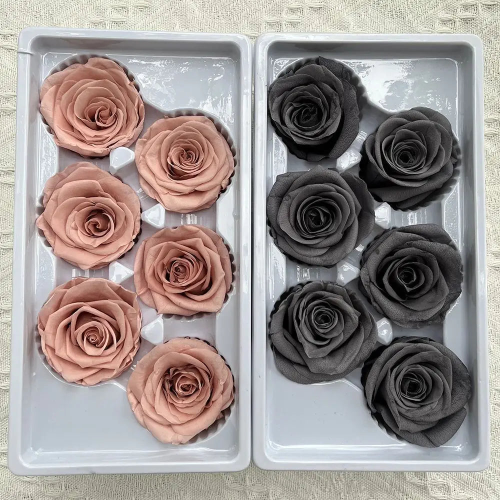 M1013  a Grade High Quality  Real Natural Eternal Forever Immortal Flower Rose Head DIY Preserved Roses
