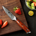 67 Layers Damascus Steel Kitchen Fruit Paring Knife 3.5 Inch Professional Manufacturer