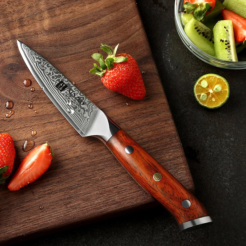 67 Layers Damascus Steel Kitchen Fruit Paring Knife 3.5 Inch Professional Manufacturer