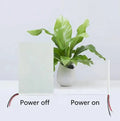 WINCENT OEM PDLC Self-adhesive Smart Film Glass Modern Privacy Protection UV Cut for Living Room Kitchen Home Hotel Use Roll