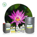 Pink Lotus Flower Essential Oil for Slimming - 100% Pure Natural Nelumbo Nucifera Leaf CO2 Extract in BULK Price