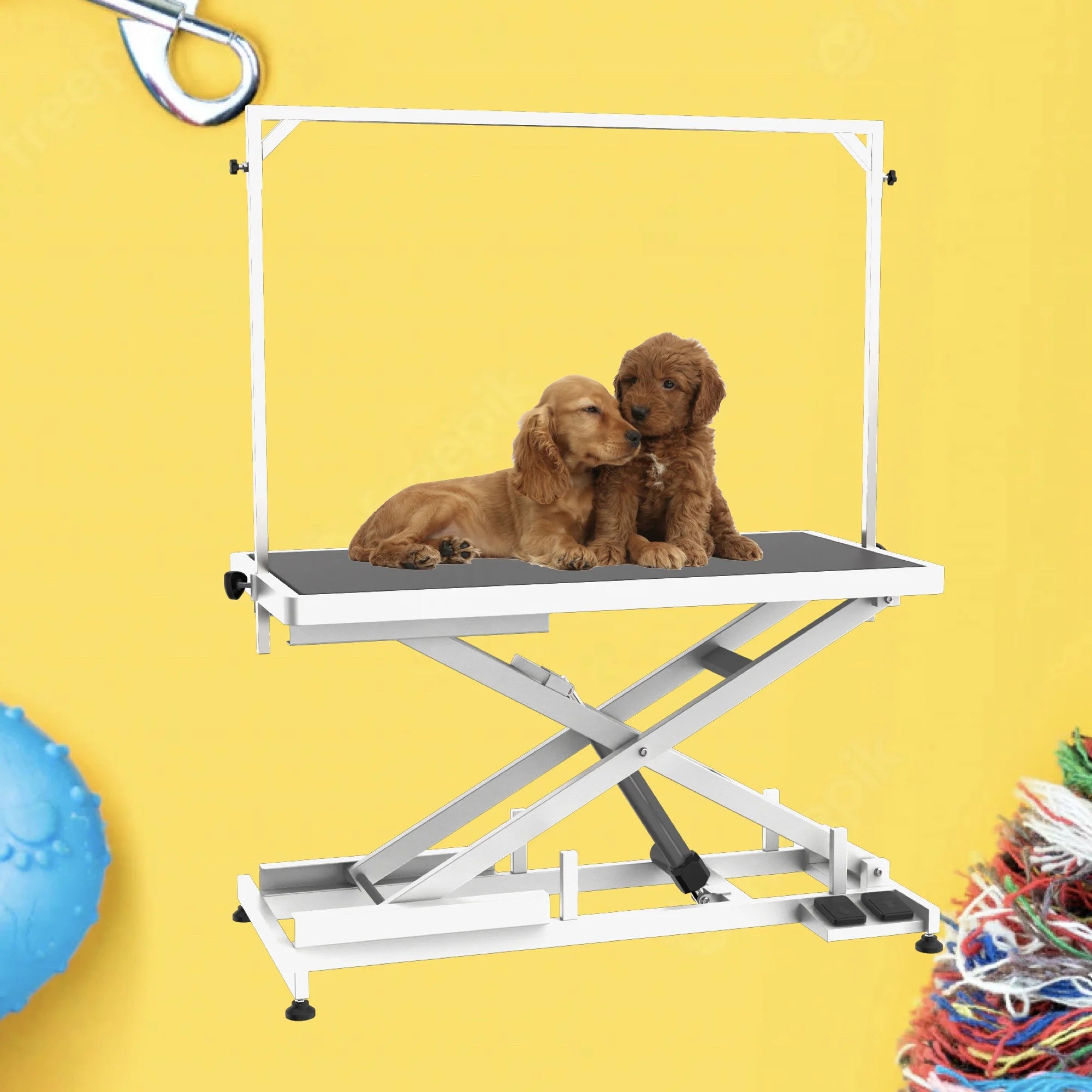 Petsproofing Pet Automatic Foldable Hydraulic Veterinary Electric Adjustable Dog Grooming Table