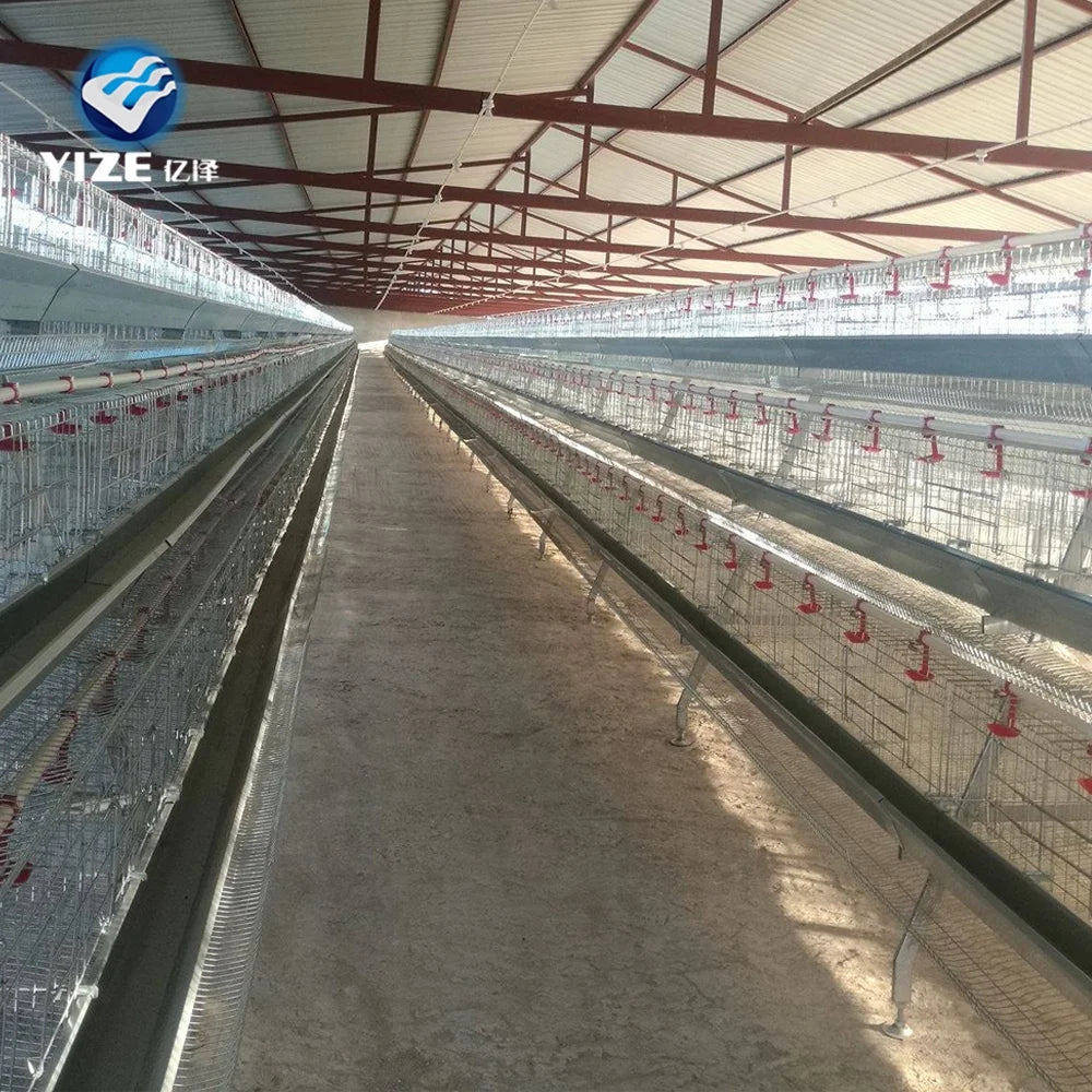 Local Chicken Layer Cage Mobile Chicken Coop Hen Runs for Sale Easy Diy Chicken House