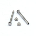 Customized Stainless Steel Locking Screws Blind Rivets ISO Standard Nickel Plated Quantity 100000 Sets Delivery Date 14 Days